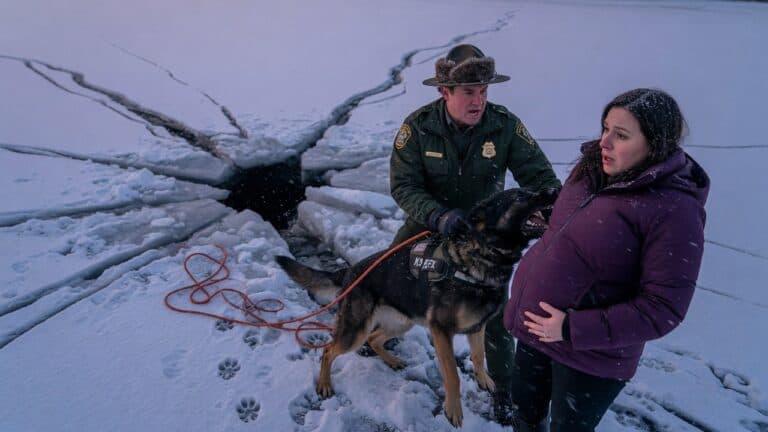 The k9 dog and its bravery are understood.